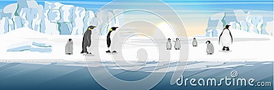 A flock of realistic imperial penguins with many little chicks. The glacier and the snow-covered plains and the cold blue sea Vector Illustration